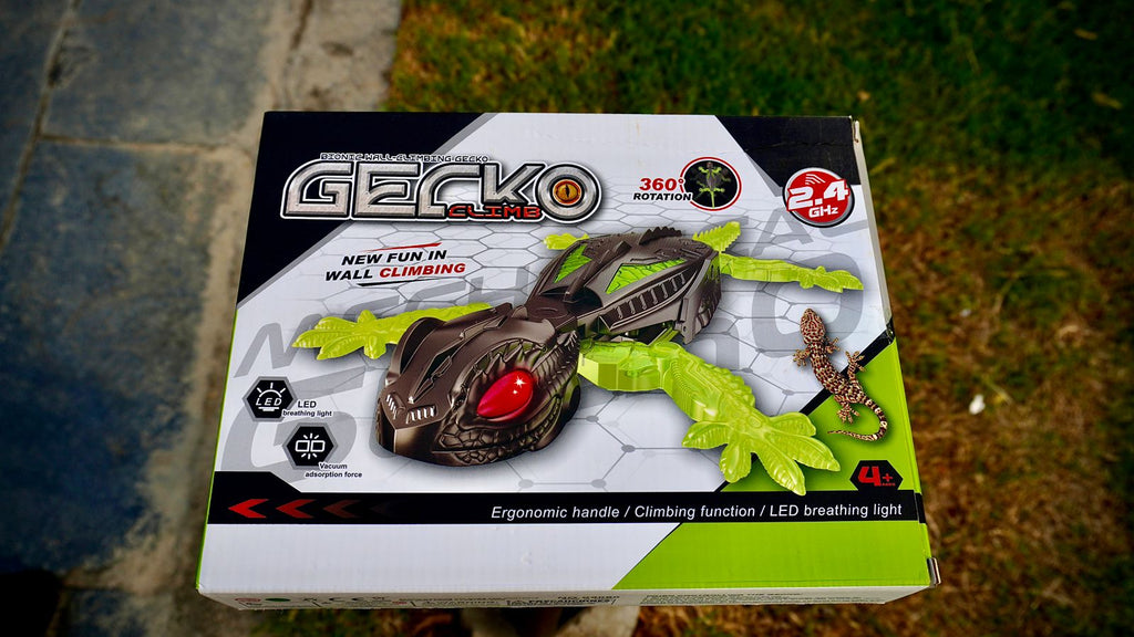 360 Degree RC wall lizard